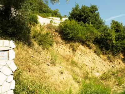 Plot with Ready Project