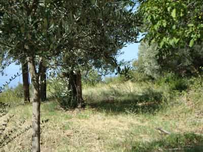 Plots in Budva