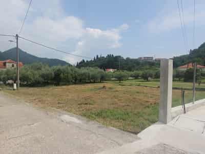 Plot in Kamenari