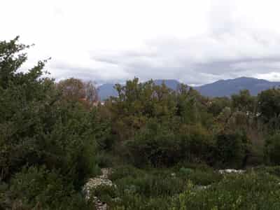 Land Plot in Radovici