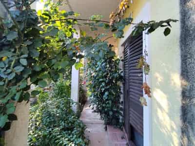 House in Budva