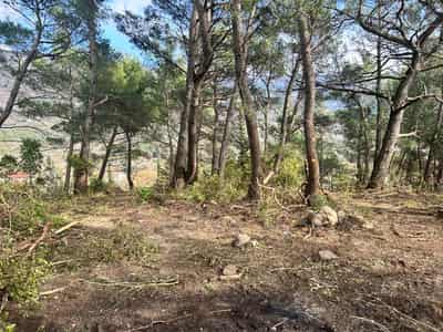 Land, Mrcevac