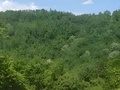 Urbanized Land Plot for Premium Development | Kolašin