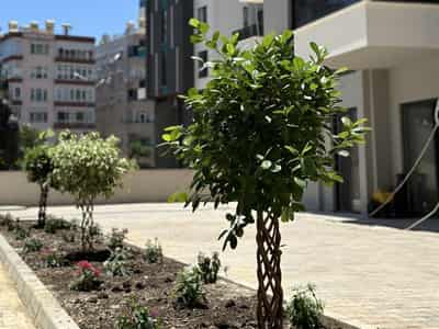 1+1 Apartment from Investor in Central Alanya, Cleopatra Beach (14500)