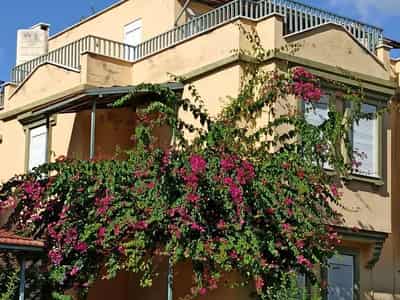 Villas, Alanya