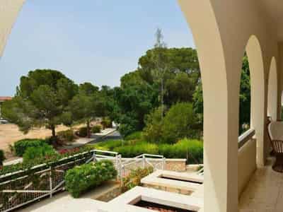 Luxury beachfront villas in Coral Bay, Cyprus