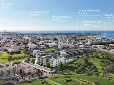 36 new objects in residential complex in Tomb of the Kings