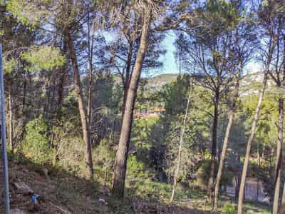 Plot of Land, Palma de Mallorca
