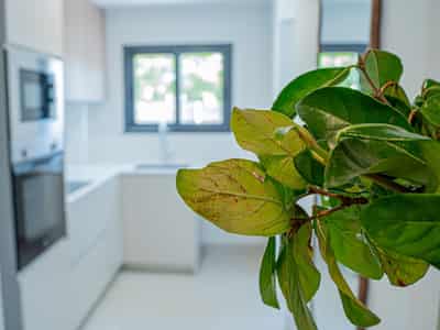 Apartment in Jávea, Costa Blanca