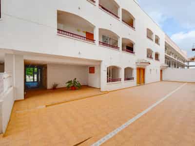 Apartments, San Fulgencio