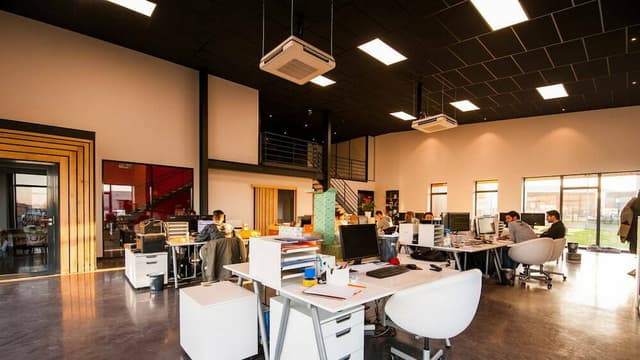 Start-up law and freelancer visa