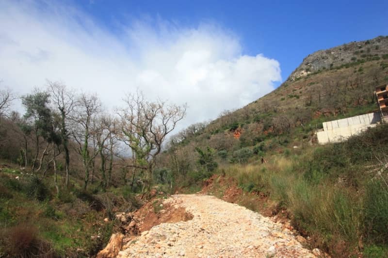 Plot in Pržno (1,798 m²) — photo 3