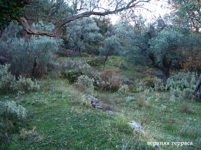 Land Plot in Bar — photo 4