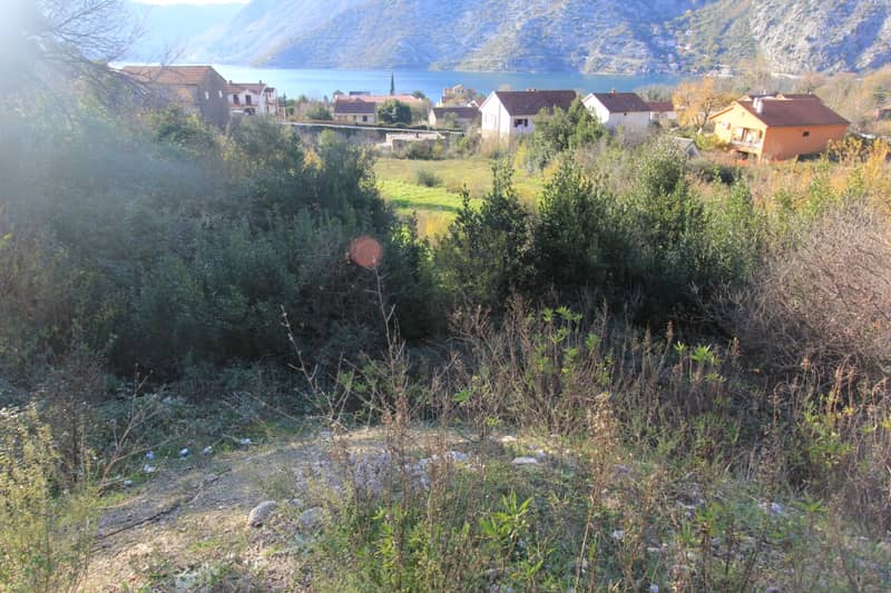 Land Plot in Risan — photo 4