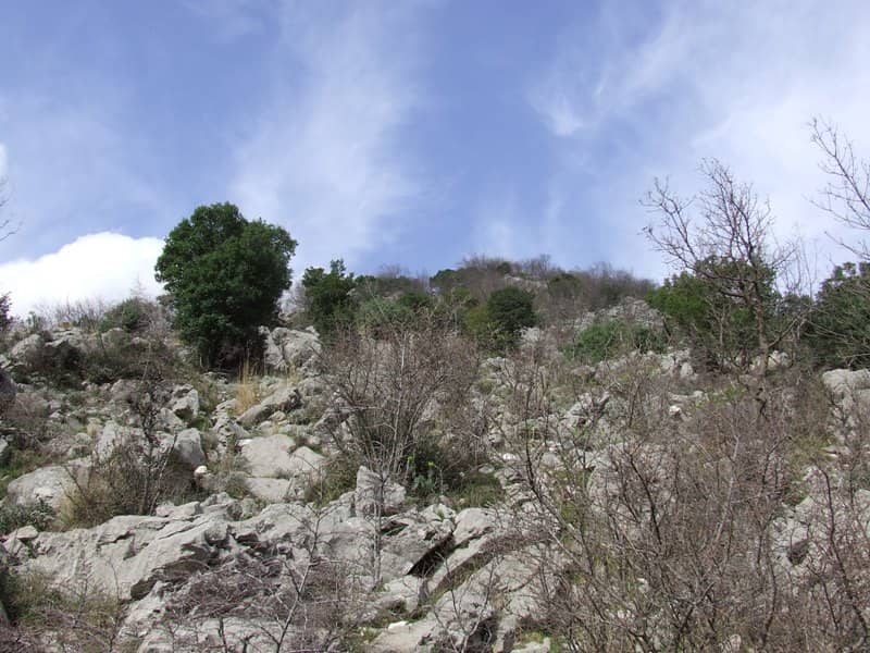 Plot in Kotor Riviera — photo 3