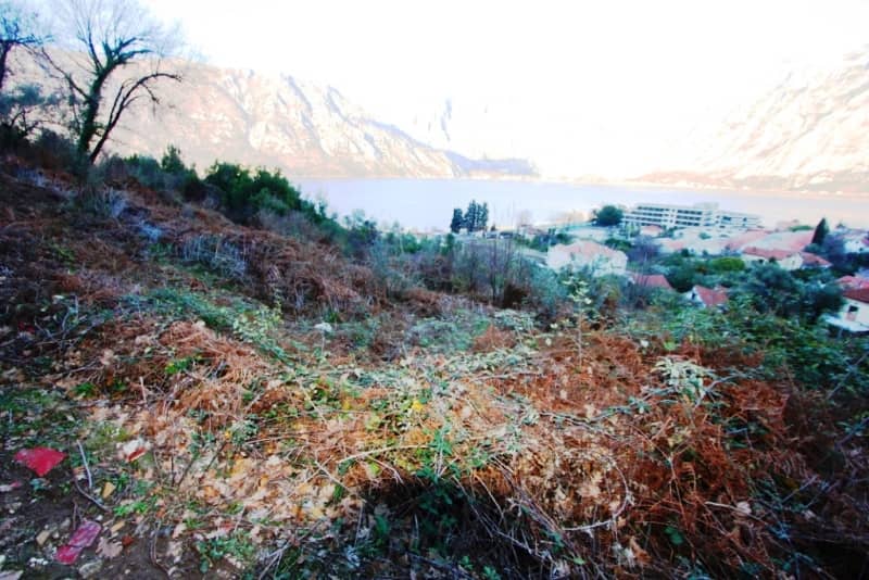 Land Plot on the Kotor Riviera — photo 4