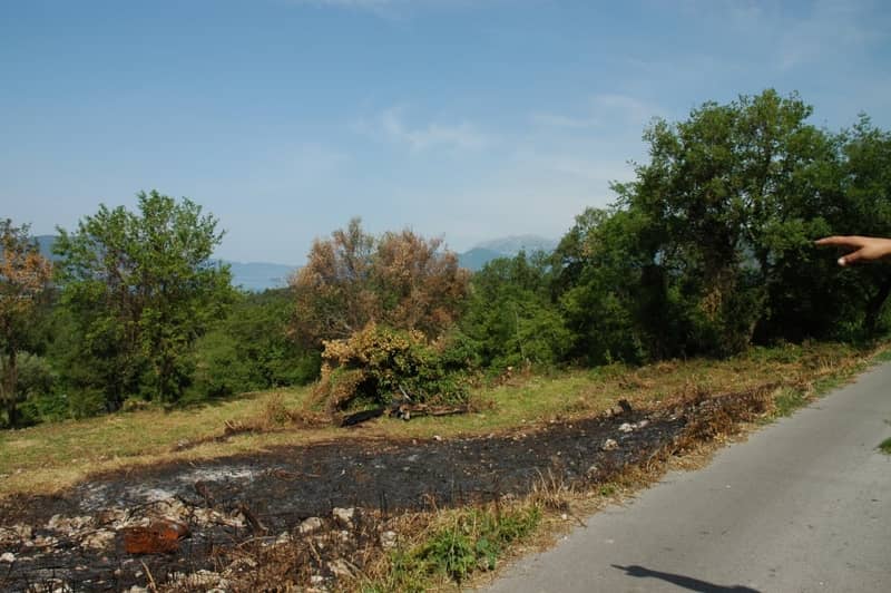 Land Plot in Tivat with Sea View — photo 2