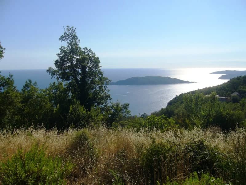 Участок в Куляче с видом на море — фото 7