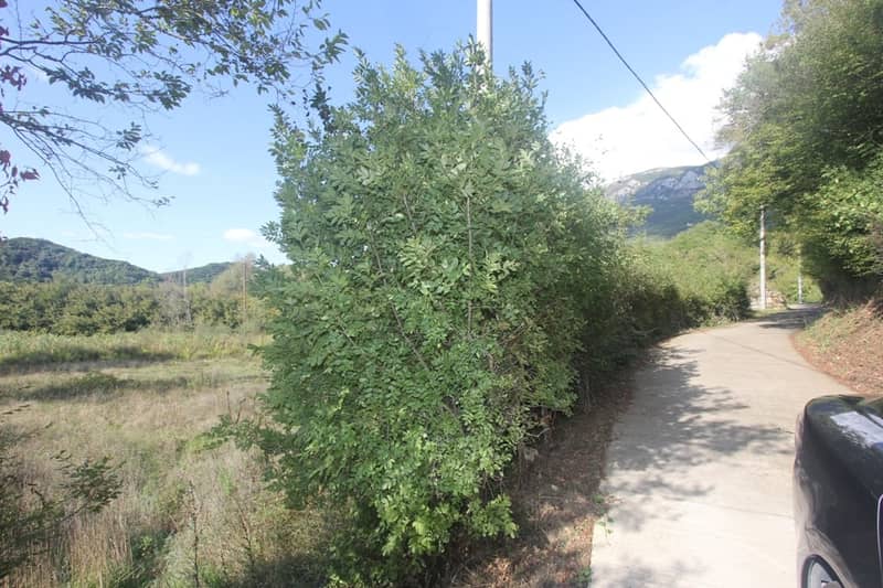 Land Plot in Kotor — photo 5