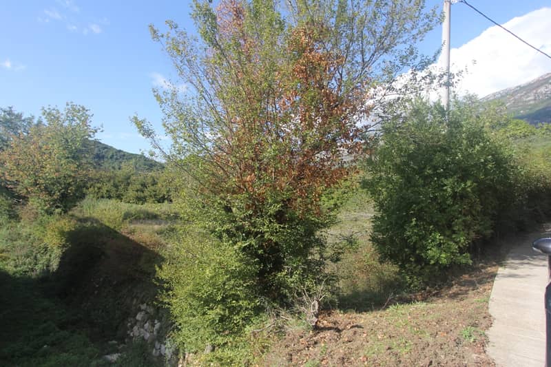 Land Plot in Kotor — photo 7