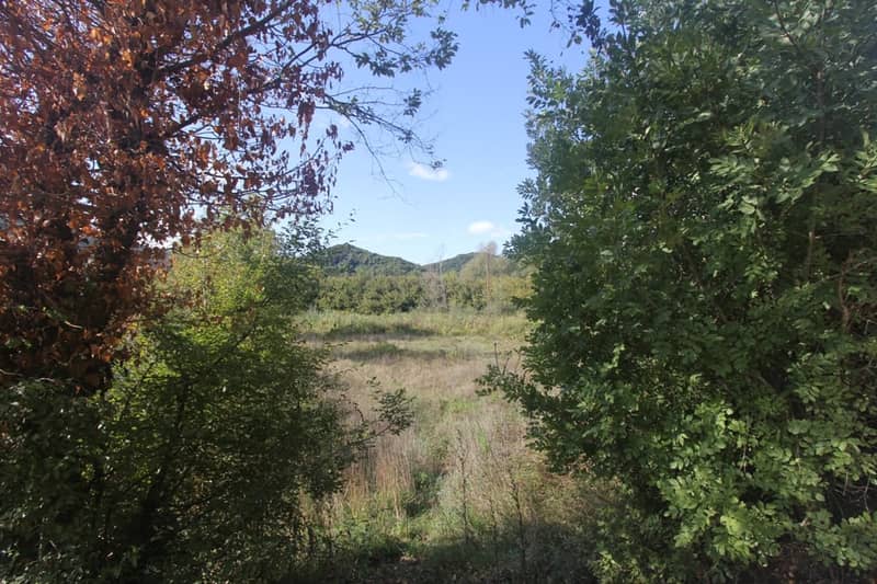 Land Plot in Kotor — photo 4