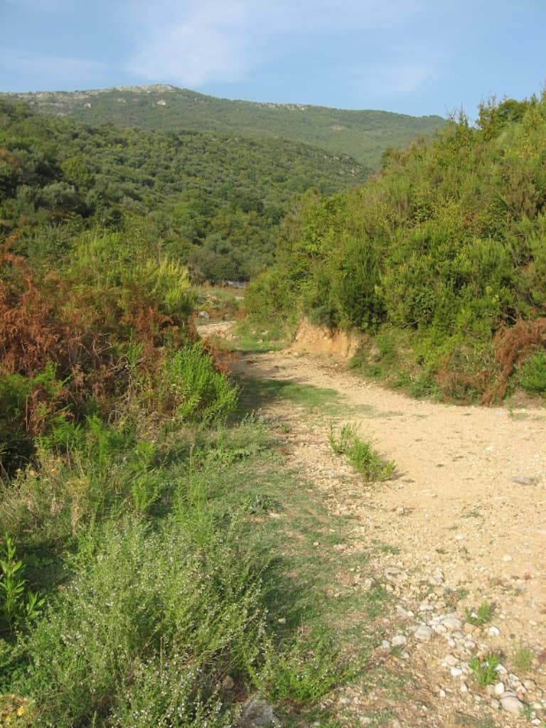 Участок в Кути — фото 3