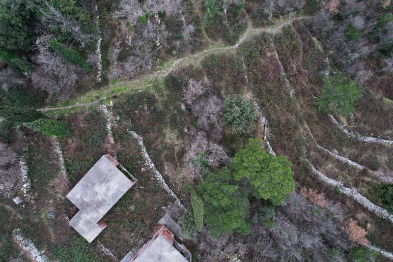 Plot in Markovic — photo 19