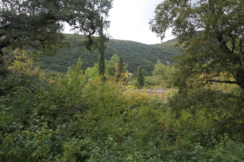 Plot in Markovic — photo 5