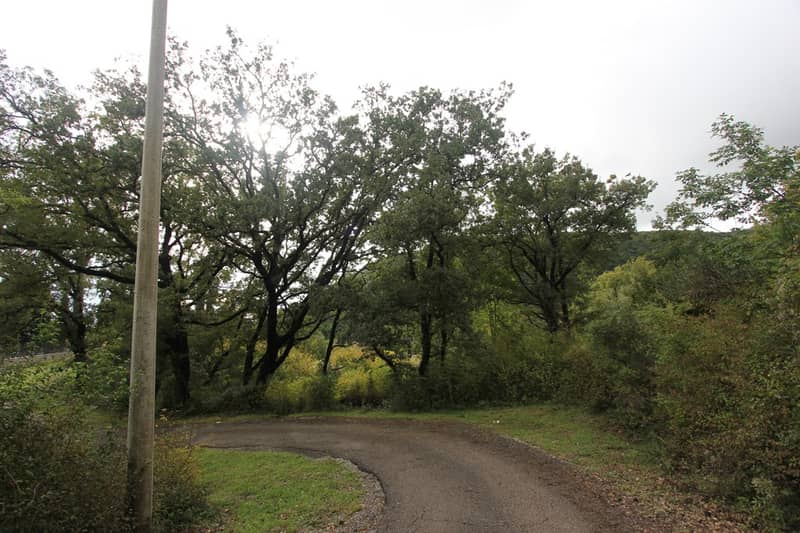 Plot in Markovic — photo 4