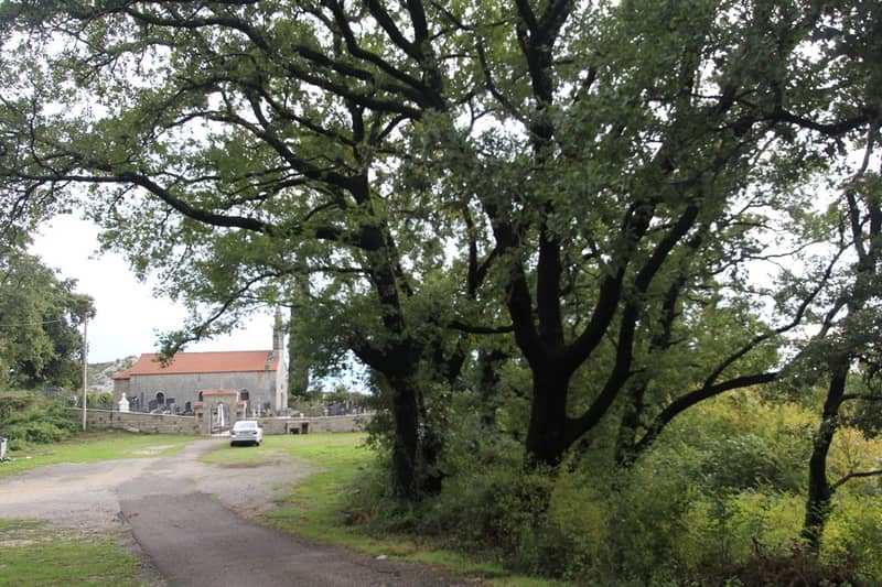 Plot in Markovic — photo 3