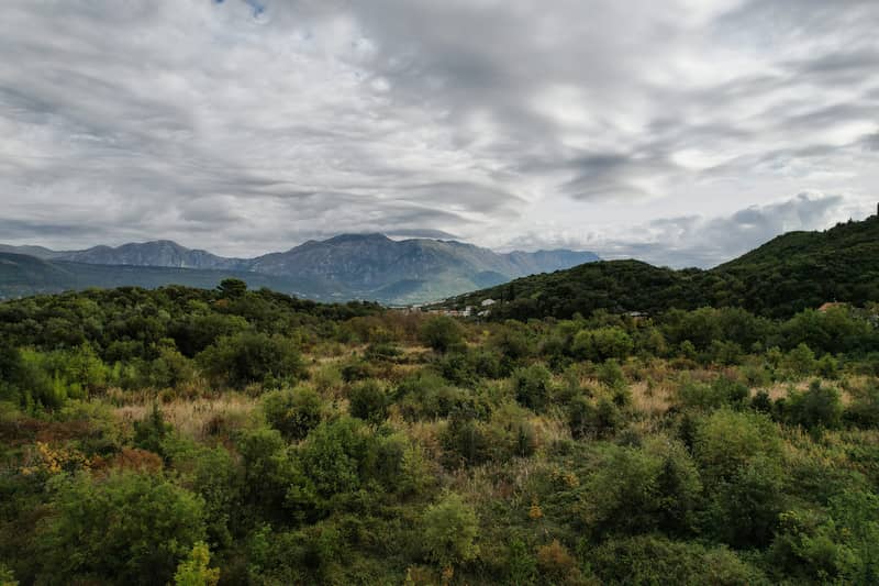 Plot in Gosici — photo 9