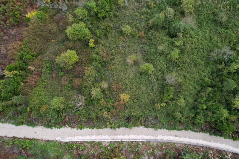 Plot in Gosici — photo 10