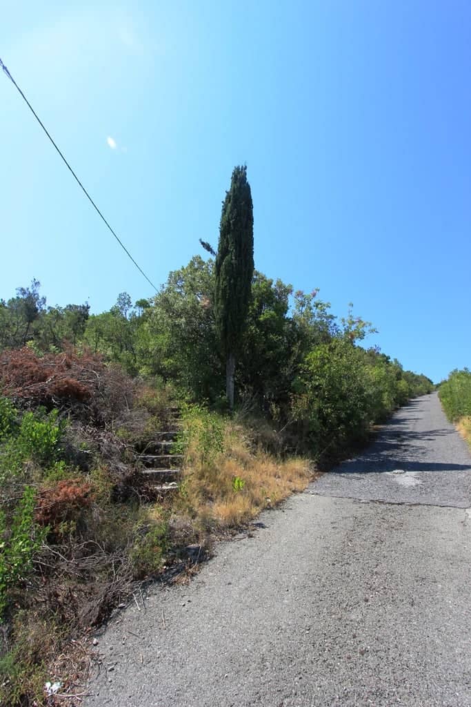 Land plot in Bigovo — photo 5
