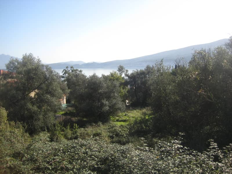 Large Plot in Baoshichi — photo 2