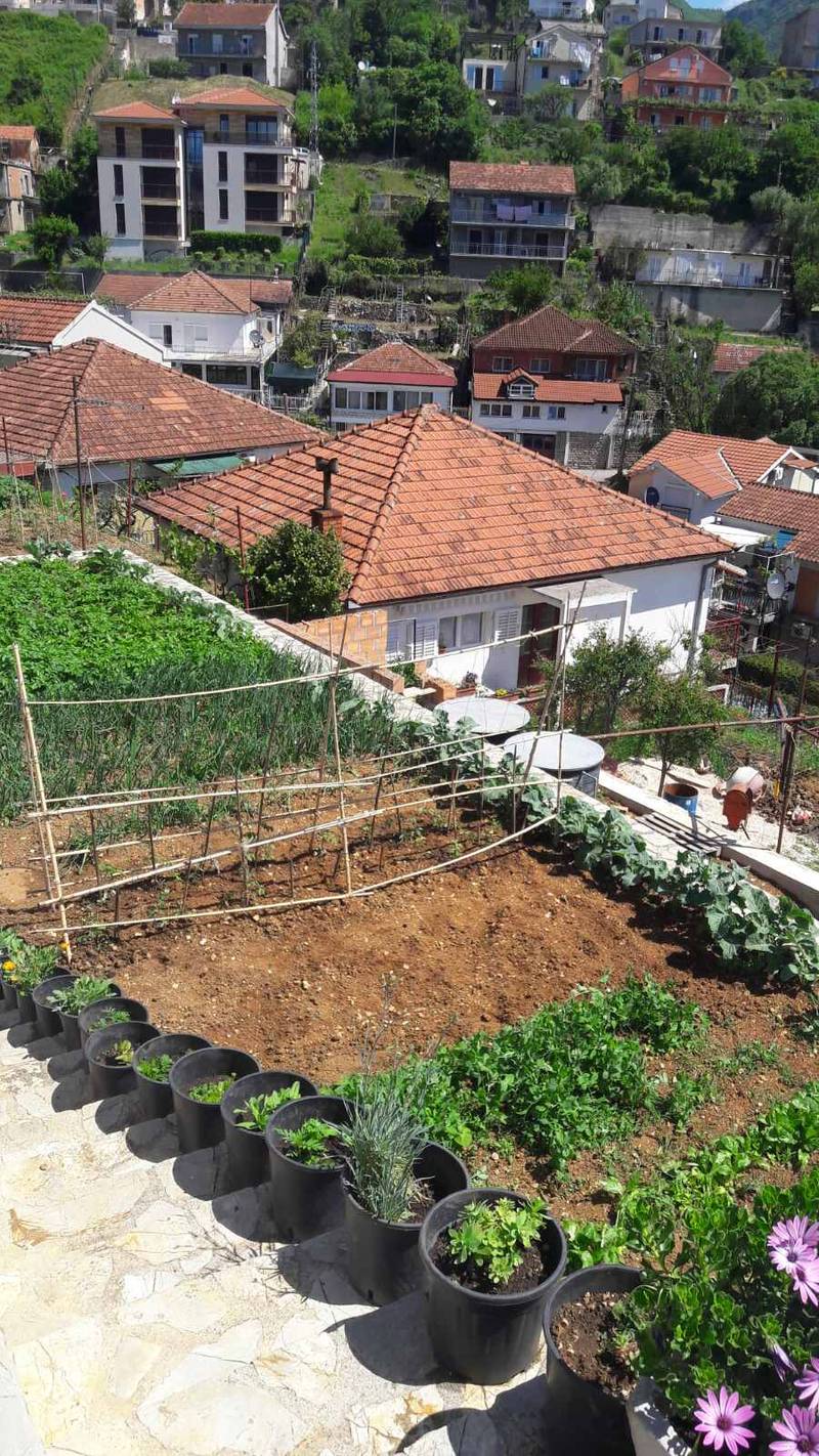 Plot in Zelenike — photo 2