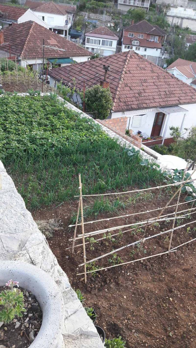 Plot in Zelenike — photo 32