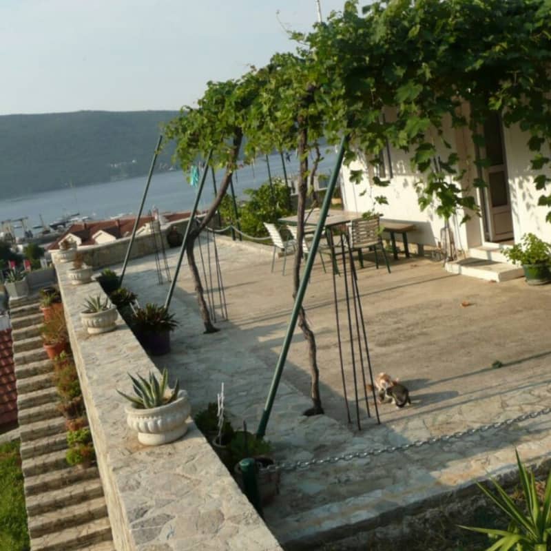 Plot in Zelenike — photo 8