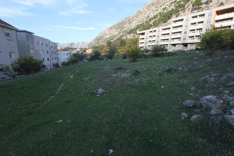 Land Plot in Dobrota — photo 18