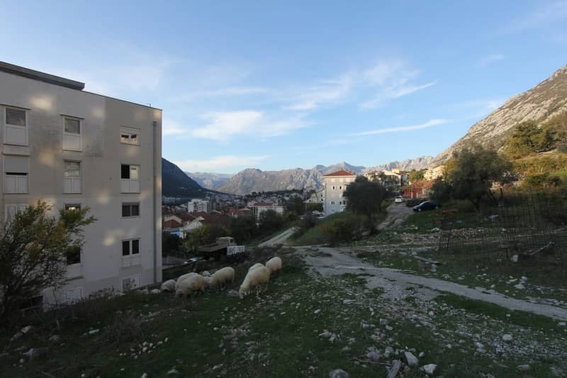 Land Plot in Dobrota — photo 11