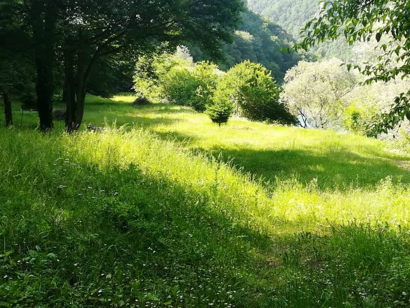 Участок на берегу реки Тара — фото 10