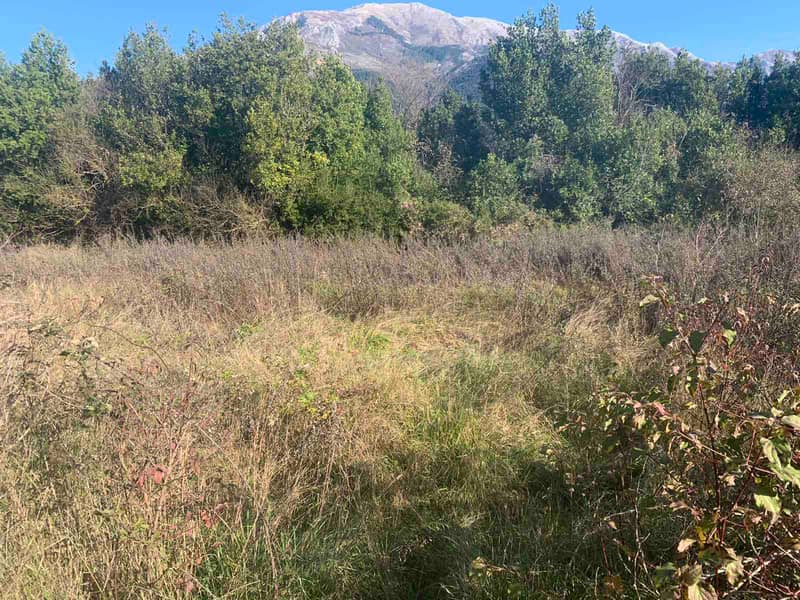 Urbanized land plot near Kotor — photo 2