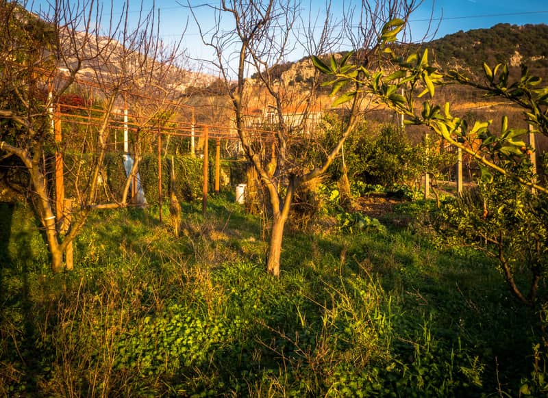 House with Plot and Panoramic View of Budva — photo 20