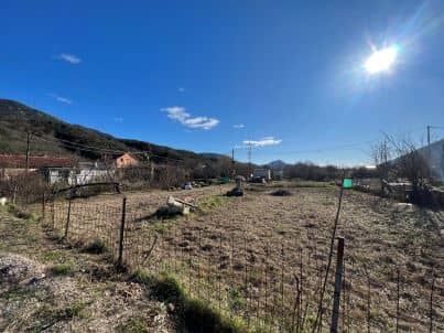 Ideal Land Plot in a Peaceful Location – Your Investment Opportunity! — photo 2