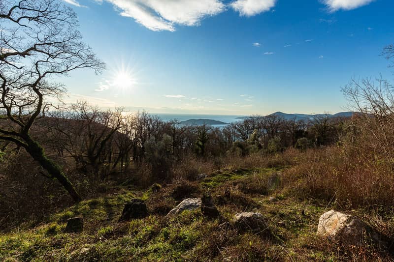 Land Plot 2170 m² in Kuljače — photo 7