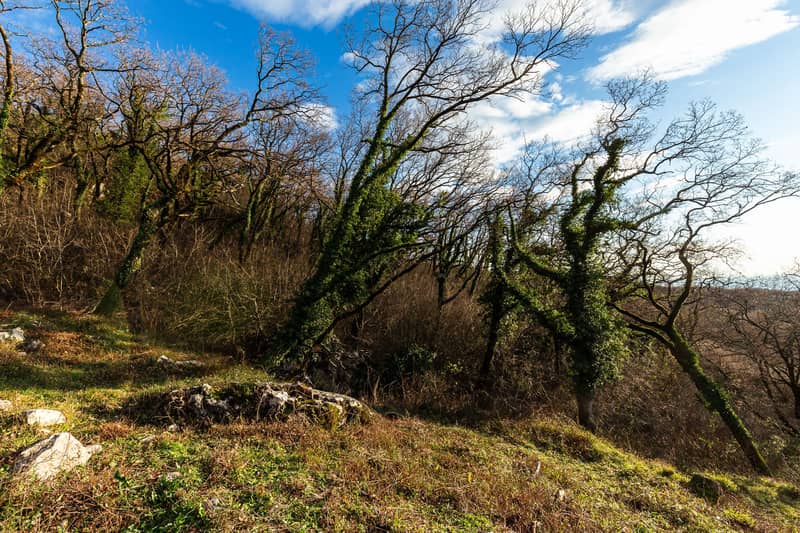 Land Plot 2170 m² in Kuljače — photo 6