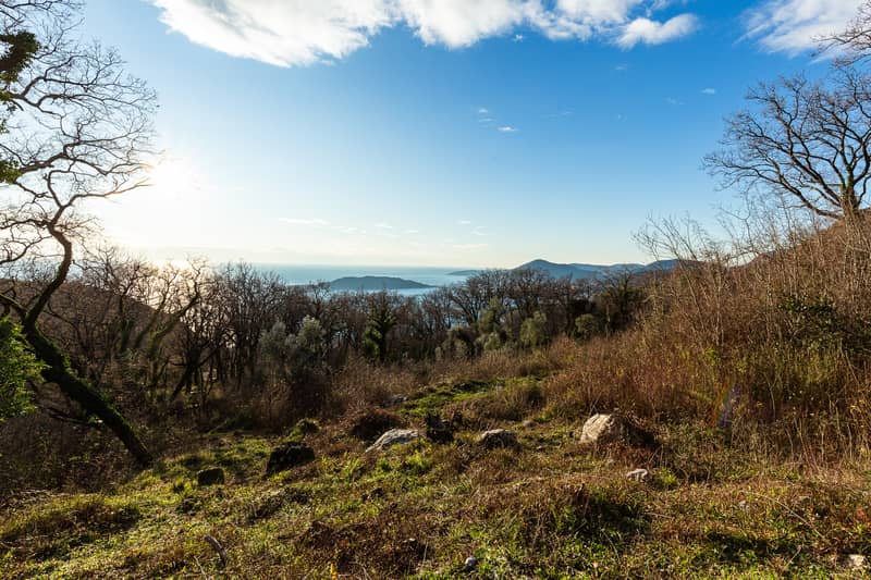 Land Plot 2170 m² in Kuljače — photo 5