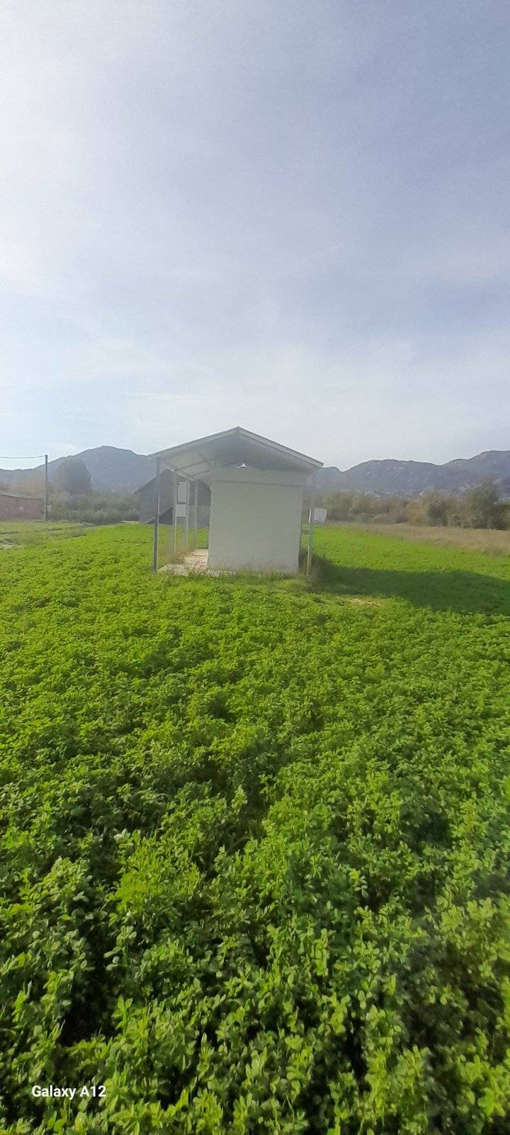 Участок на продажу в Грахово — фото 4