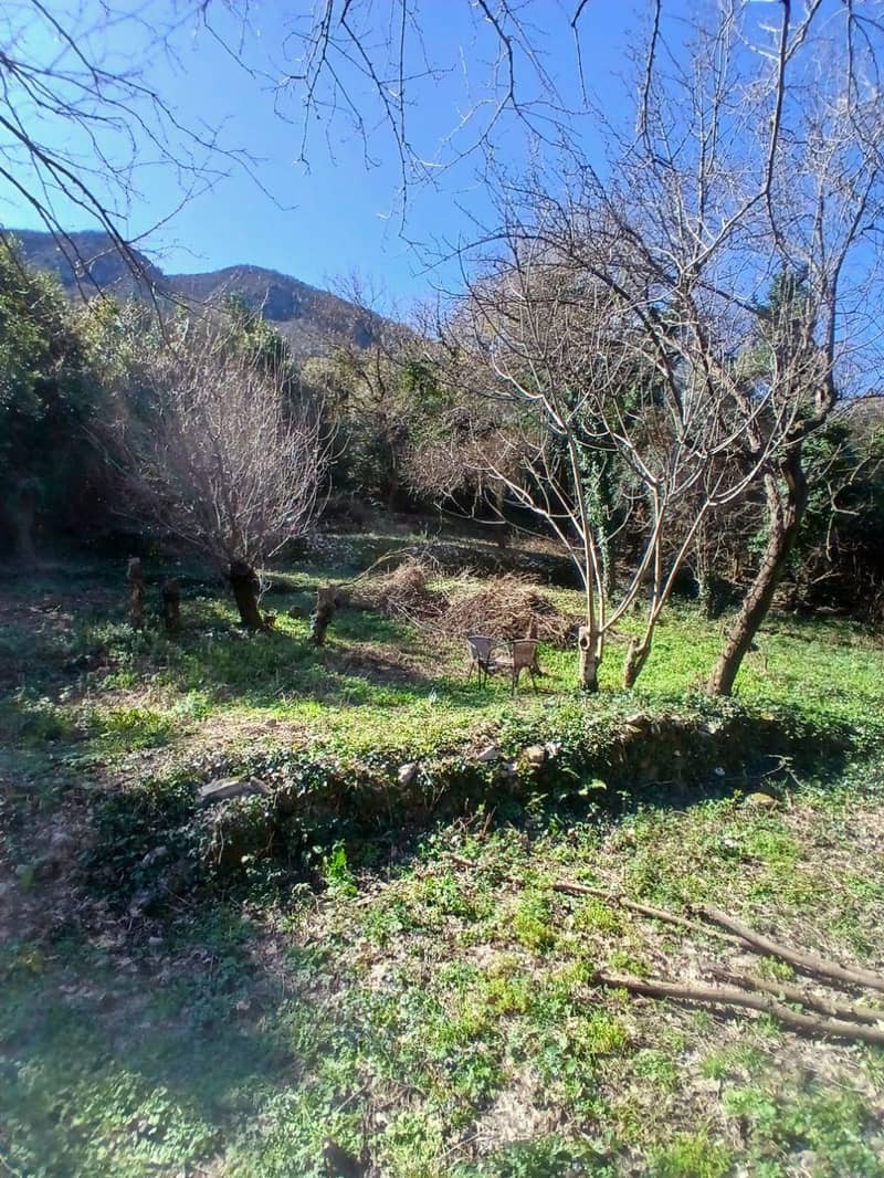 Land Plot on First Line in Stoliv, Kotor – 2,200 m² — photo 6