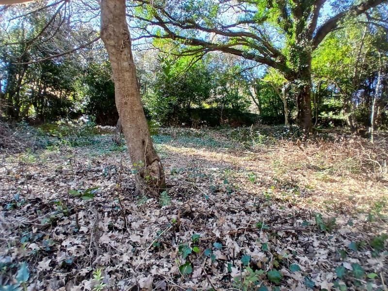 Land Plot on First Line in Stoliv, Kotor – 2,200 m² — photo 5