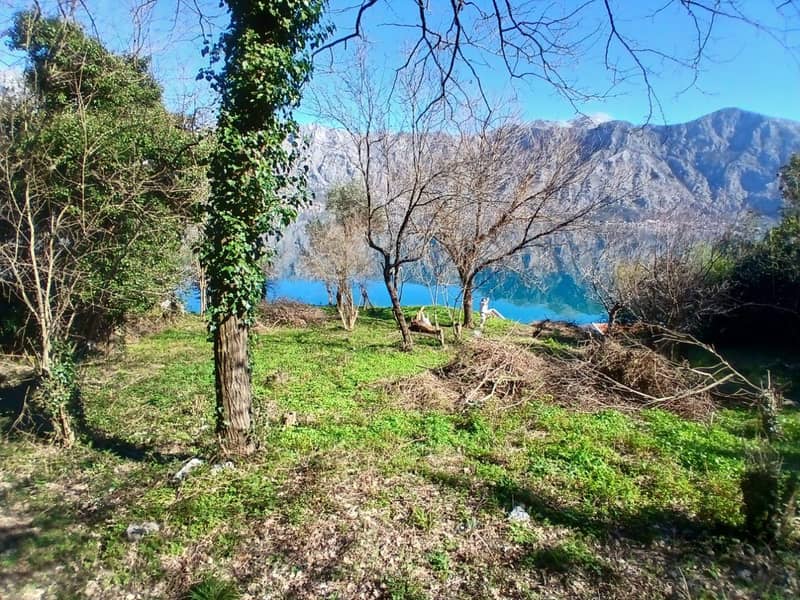 Land Plot on First Line in Stoliv, Kotor – 2,200 m² — photo 2